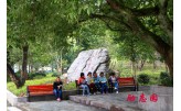 酉阳厉K旺初U中学校 励志? style=